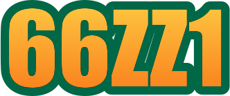 66zz1